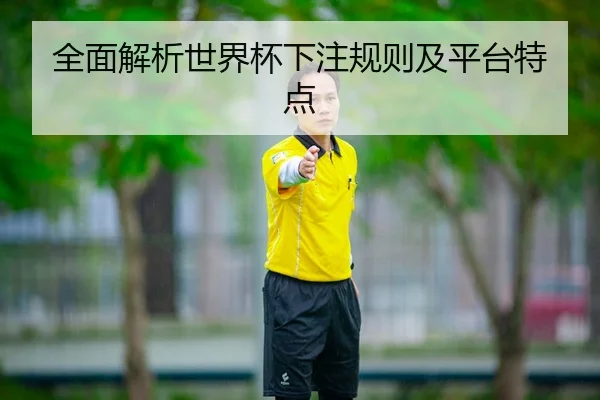 全面解析世界杯下注规则及平台特点