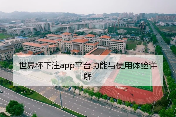 世界杯下注app平台功能与使用体验详解