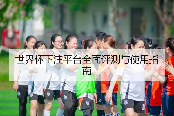世界杯下注平台全面评测与使用指南