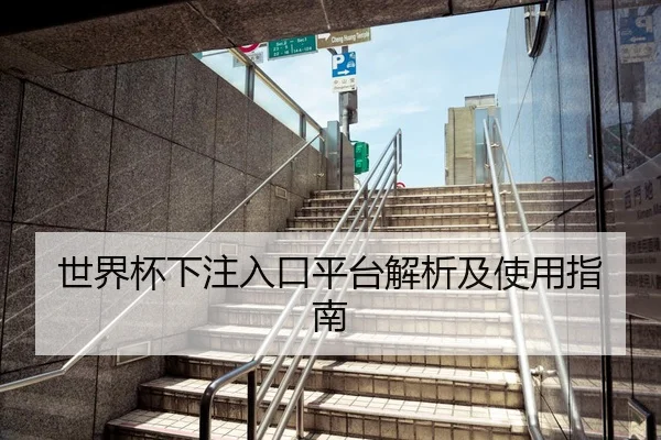 世界杯下注入口平台解析及使用指南