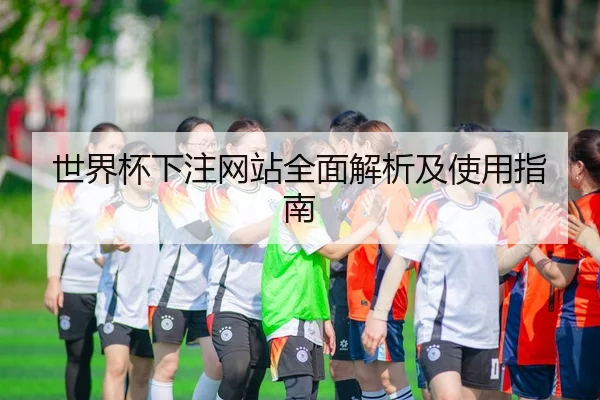 世界杯下注网站全面解析及使用指南